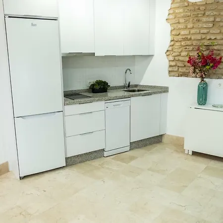 La Judería Del Buen Viaje Apartamento *